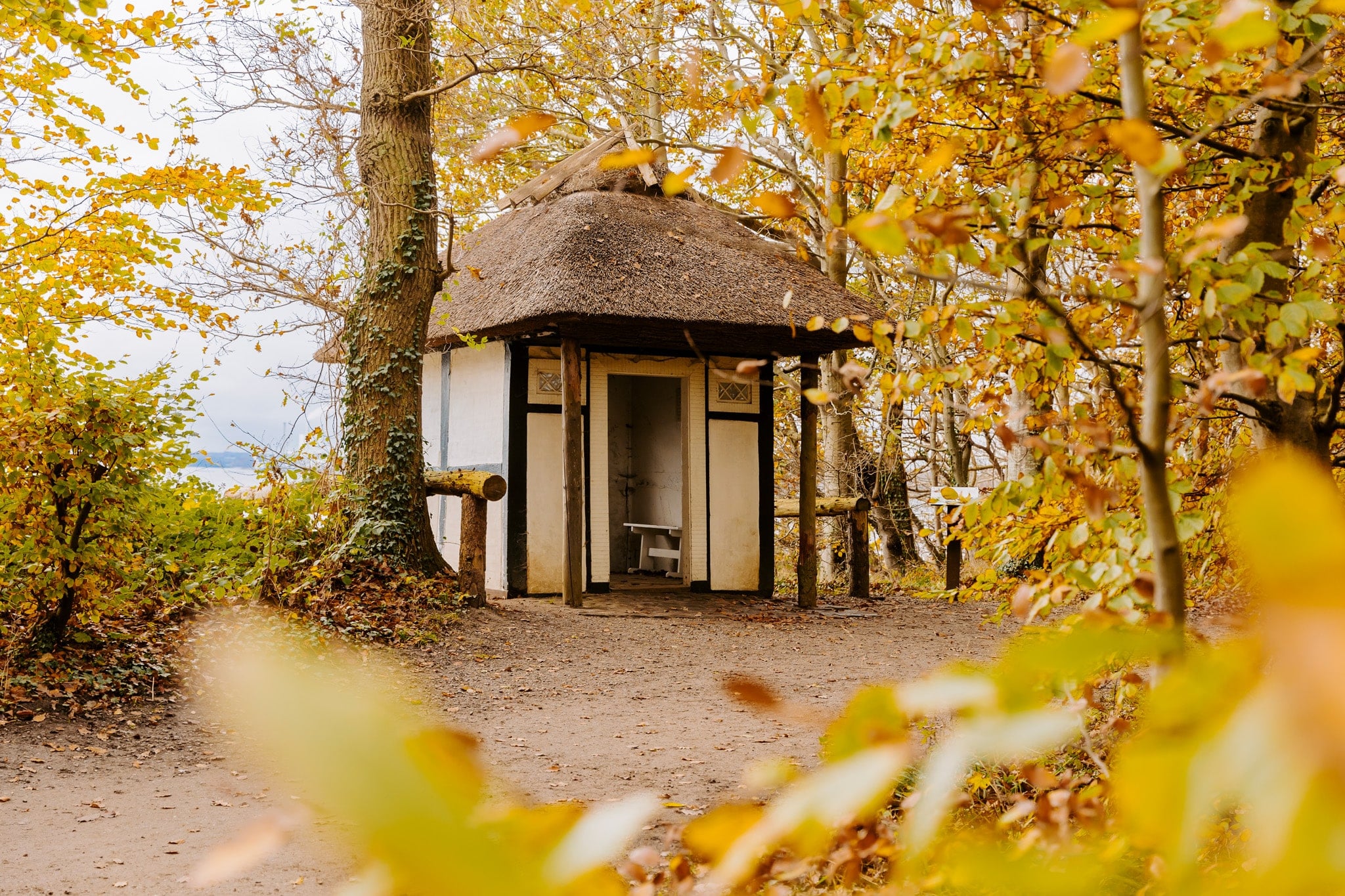 Herbstliche Idylle am Kleinen-Belt-Wanderweg – perfekt für eine Pause mit Ausblick. ©VisitMiddelfart