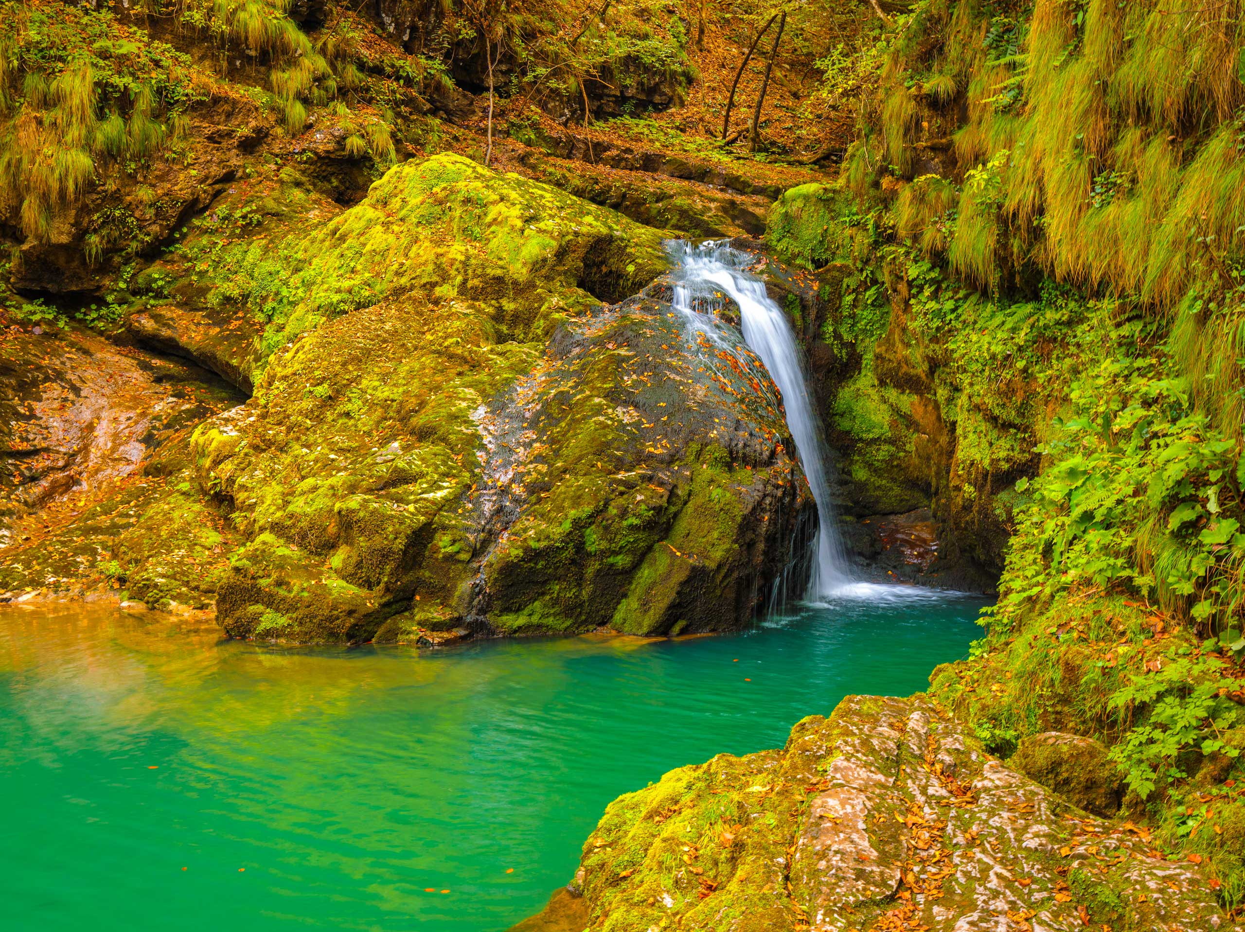 Auf der Wanderung zum Zelenai vir und durch den Vražji prolaz führt der Weg vorbei an smaragdgrünem Wasser und versteckten Wasserfällen tief in einer der ursprünglichsten Schluchten Kroatiens.